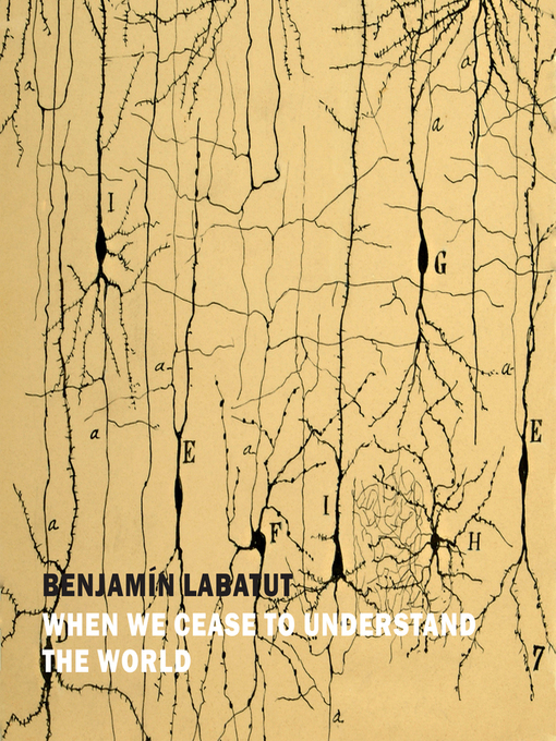 Title details for When We Cease to Understand the World by Benjamin Labatut - Wait list